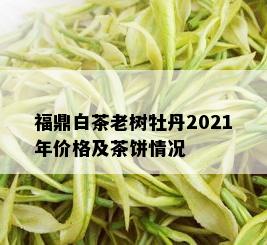 福鼎白茶老树牡丹2021年价格及茶饼情况