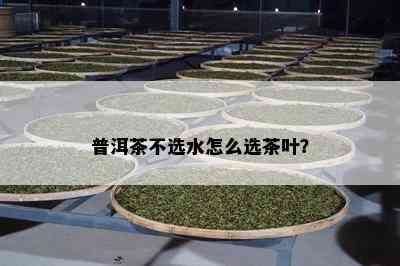 普洱茶不选水怎么选茶叶？