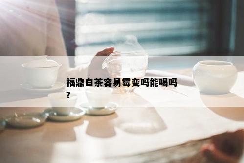 福鼎白茶容易霉变吗能喝吗？