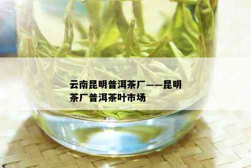 云南昆明普洱茶厂——昆明茶厂普洱茶叶市场