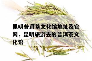 昆明普洱茶文化馆地址及官网，昆明旅游去的普洱茶文化馆