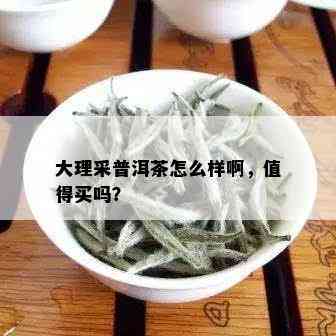 大理采普洱茶怎么样啊，值得买吗？