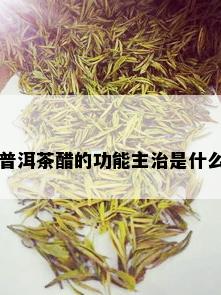 普洱茶醋的功能主治是什么