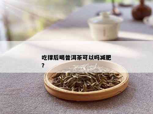 吃撑后喝普洱茶可以吗减肥？