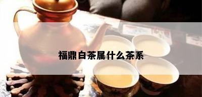 福鼎白茶属什么茶系