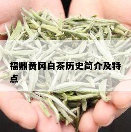 福鼎黄冈白茶历史简介及特点