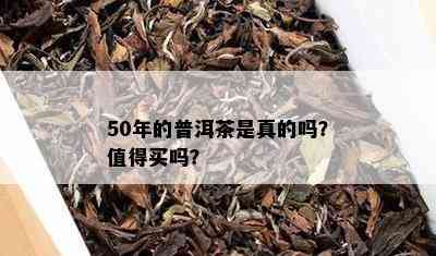 50年的普洱茶是真的吗？值得买吗？