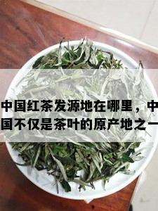 中国红茶发源地在哪里，中国不仅是茶叶的原产地之一