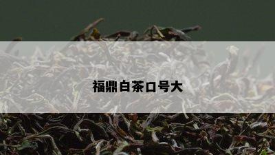 福鼎白茶口号大