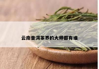 云南普洱茶界的大师都有谁