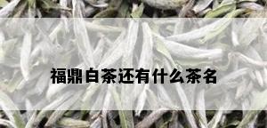 福鼎白茶还有什么茶名