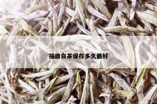 福鼎白茶保存多久更好