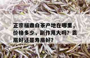 正宗福鼎白茶产地在哪里，价格多少，副作用大吗？贡眉好还是寿眉好？