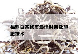 福鼎白茶修剪更佳时间及施肥技术