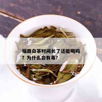 福鼎白茶时间长了还能喝吗？为什么会有？