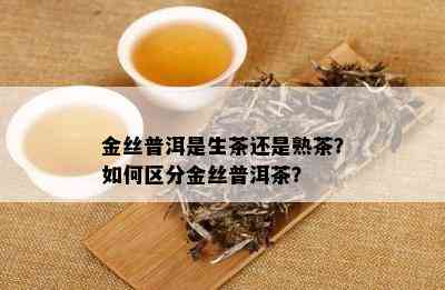 金丝普洱是生茶还是熟茶？如何区分金丝普洱茶？