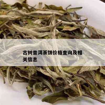 古树普洱茶饼价格查询及相关信息