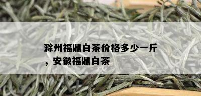 滁州福鼎白茶价格多少一斤，安徽福鼎白茶