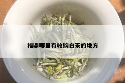 福鼎哪里有收购白茶的地方