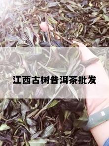 江西古树普洱茶批发