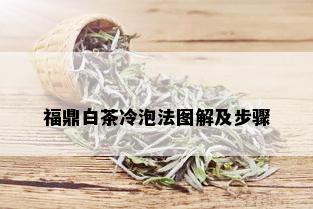 福鼎白茶冷泡法图解及步骤