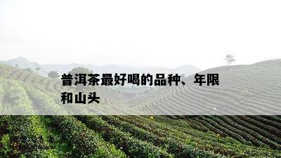 普洱茶更好喝的品种、年限和山头