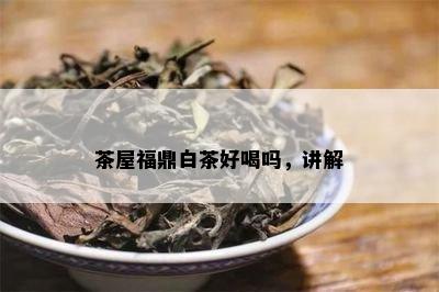 茶屋福鼎白茶好喝吗，讲解