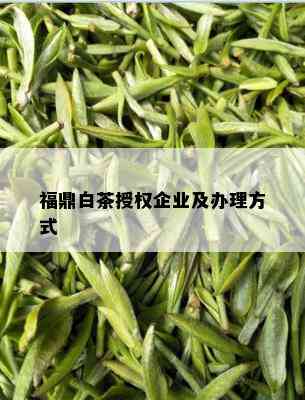 福鼎白茶授权企业及办理方式