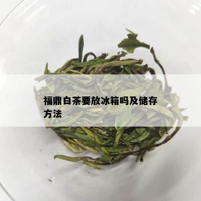 福鼎白茶要放冰箱吗及储存方法