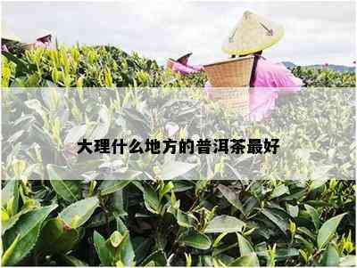 大理什么地方的普洱茶更好