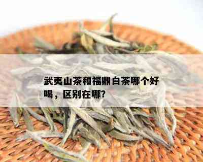 武夷山茶和福鼎白茶哪个好喝，区别在哪？