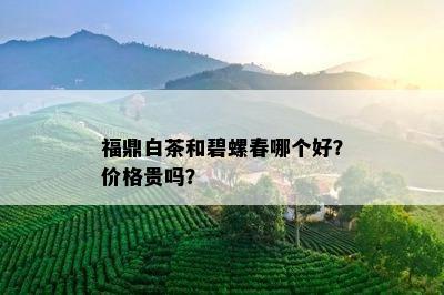 福鼎白茶和碧螺春哪个好？价格贵吗？