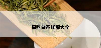 福鼎白茶详解大全