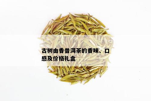 古树由香普洱茶的香味、口感及价格礼盒