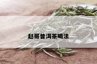 赵哥普洱茶喝法