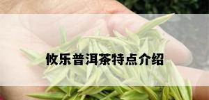 攸乐普洱茶特点介绍