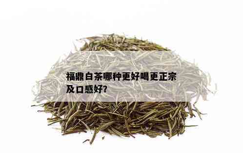 福鼎白茶哪种更好喝更正宗及口感好？