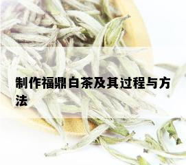 制作福鼎白茶及其过程与方法