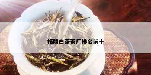 福鼎白茶茶厂排名前十