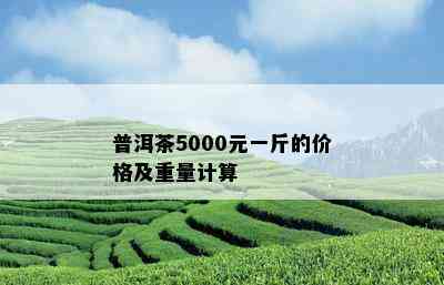 普洱茶5000元一斤的价格及重量计算