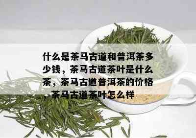 什么是茶马古道和普洱茶多少钱，茶马古道茶叶是什么茶，茶马古道普洱茶的价格，茶马古道茶叶怎么样