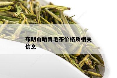 布朗山晒青毛茶价格及相关信息