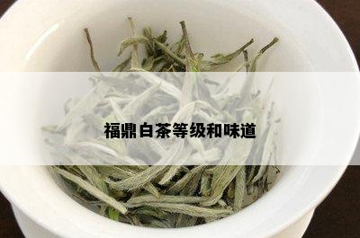 福鼎白茶等级和味道