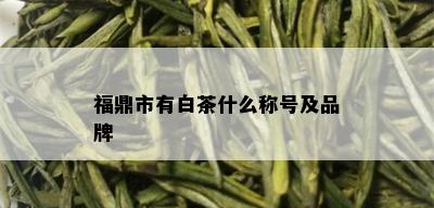 福鼎市有白茶什么称号及品牌