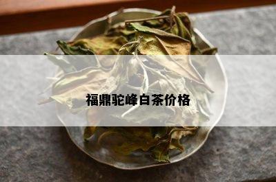 福鼎驼峰白茶价格