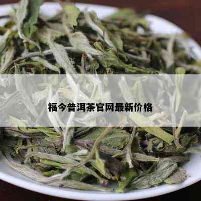 福今普洱茶官网最新价格