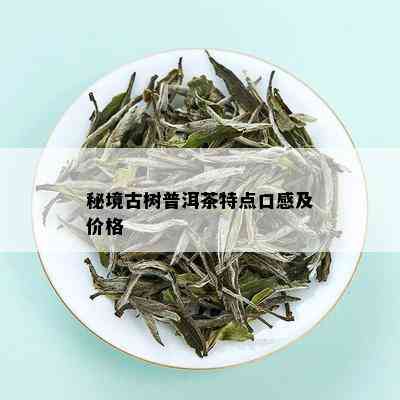 秘境古树普洱茶特点口感及价格