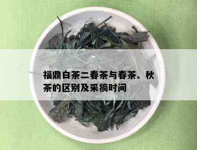 福鼎白茶二春茶与春茶、秋茶的区别及采摘时间