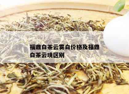 福鼎白茶云雾白价格及福鼎白茶云境区别