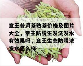 章王普洱茶熟茶价格及图片大全，章王防脱生发洗发水有效果吗，章王生态防脱洗发水怎么样